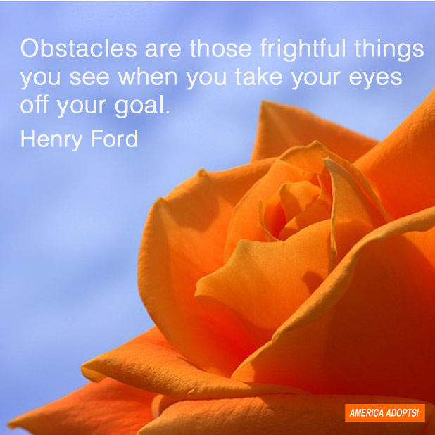 adoption-obstacles-quote