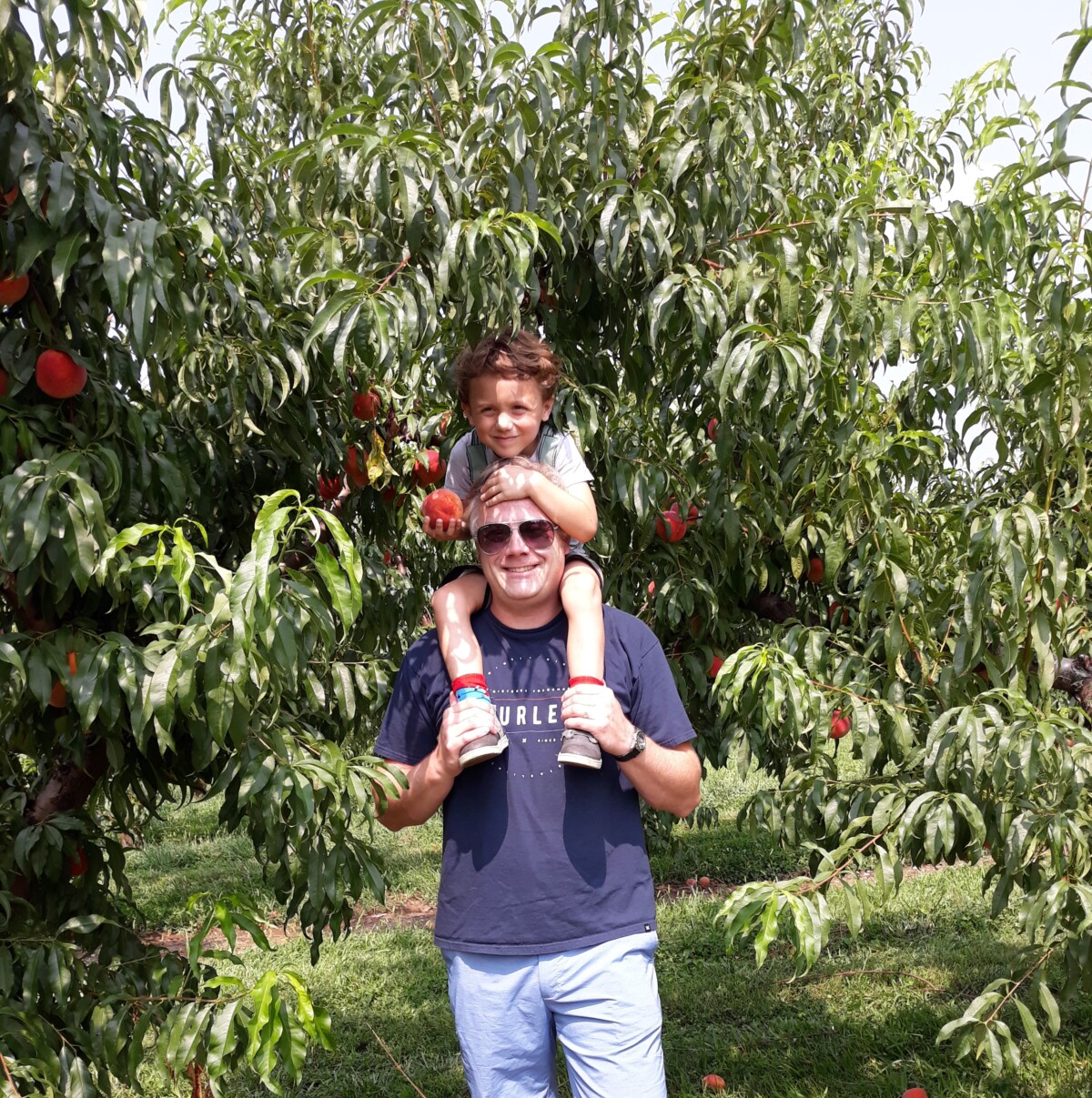 We love to pick fruit at the orchard
